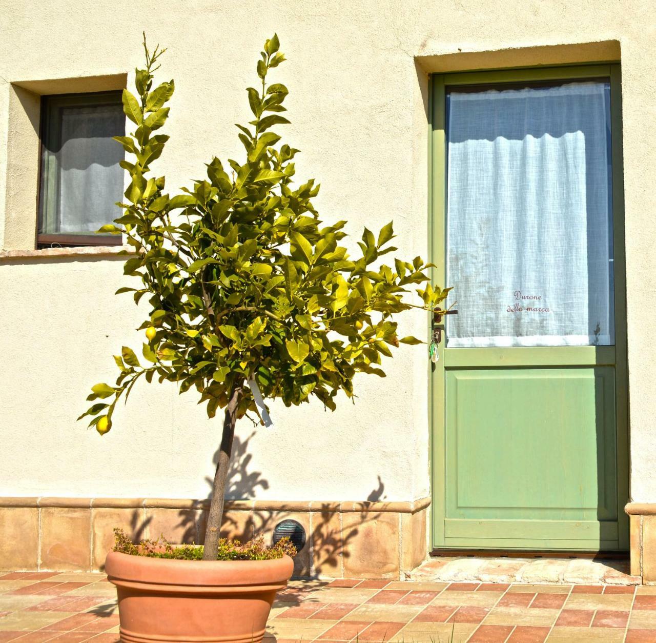 B&B Ceresa - Country House Loreto Exterior foto